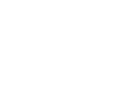 T-BONE MANUFAKTUR